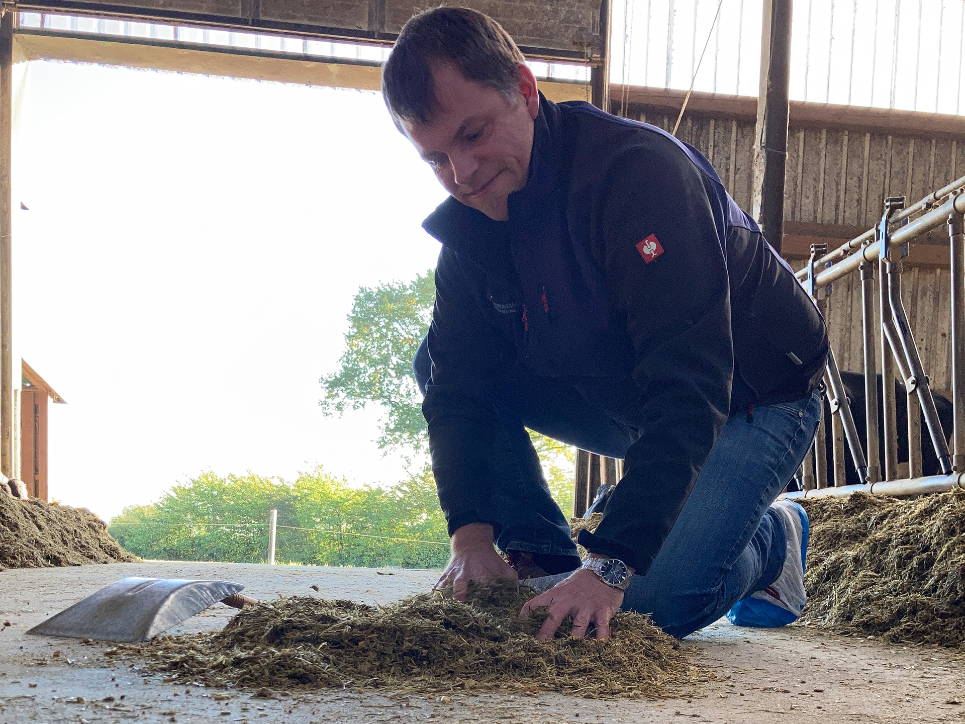 Mischen der Ration beim Schaufeltest