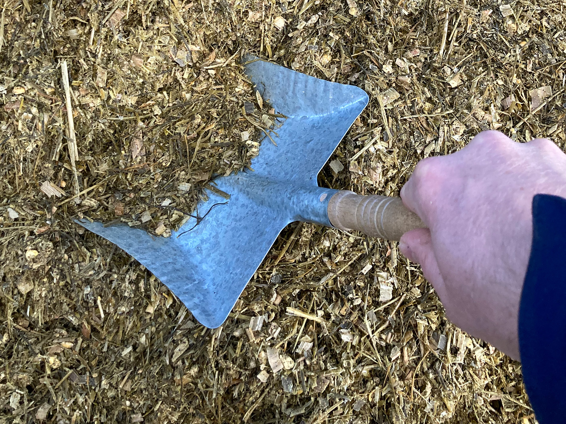 Mit dem Schaufeltest die Selektion sichtbar machen