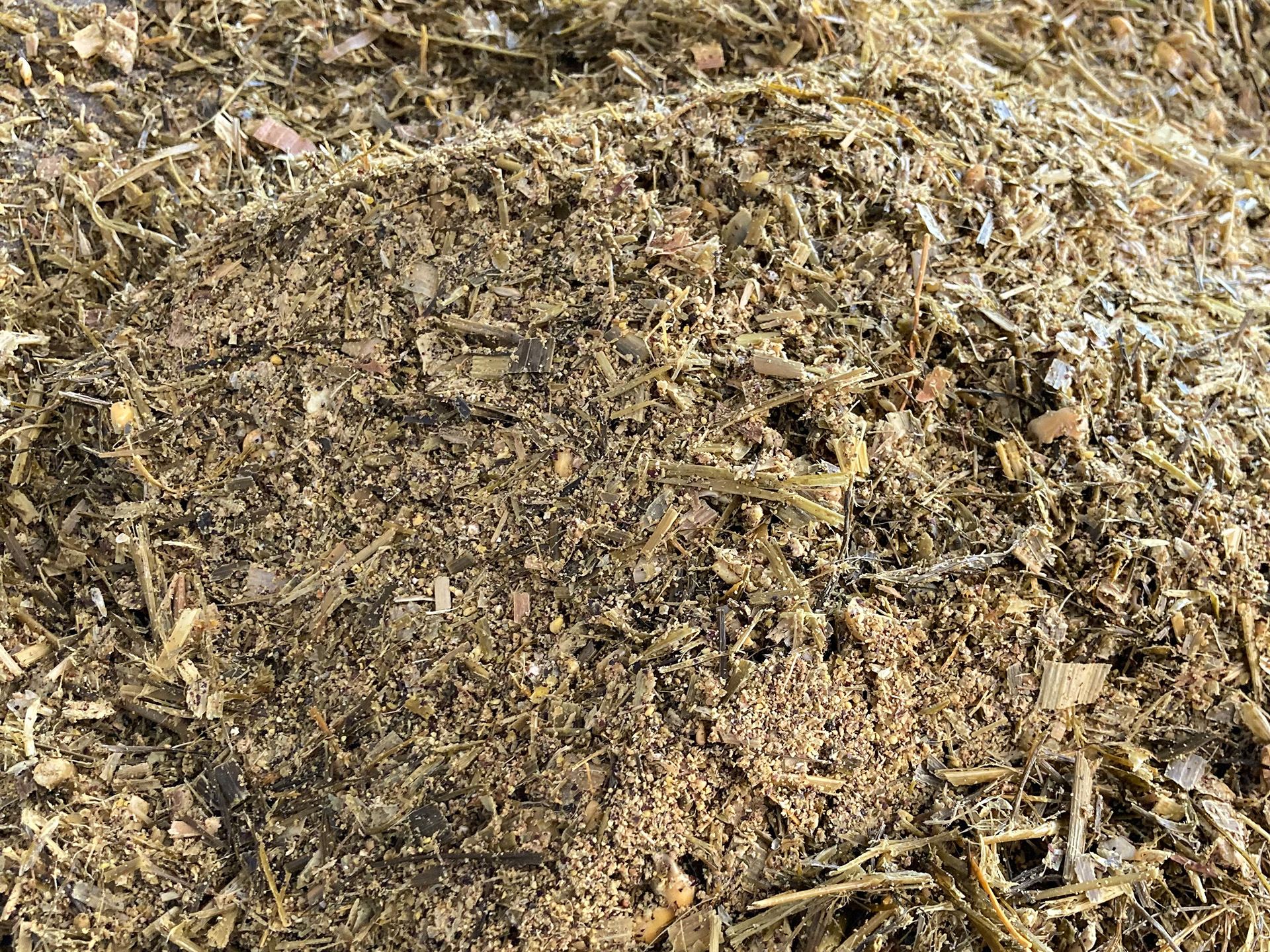 Ergebnis Schaufeltest