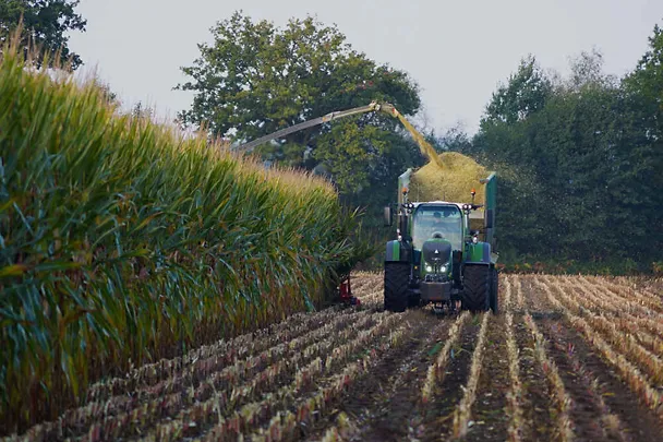 Ernte von Maissilage Ernte von Maissilage