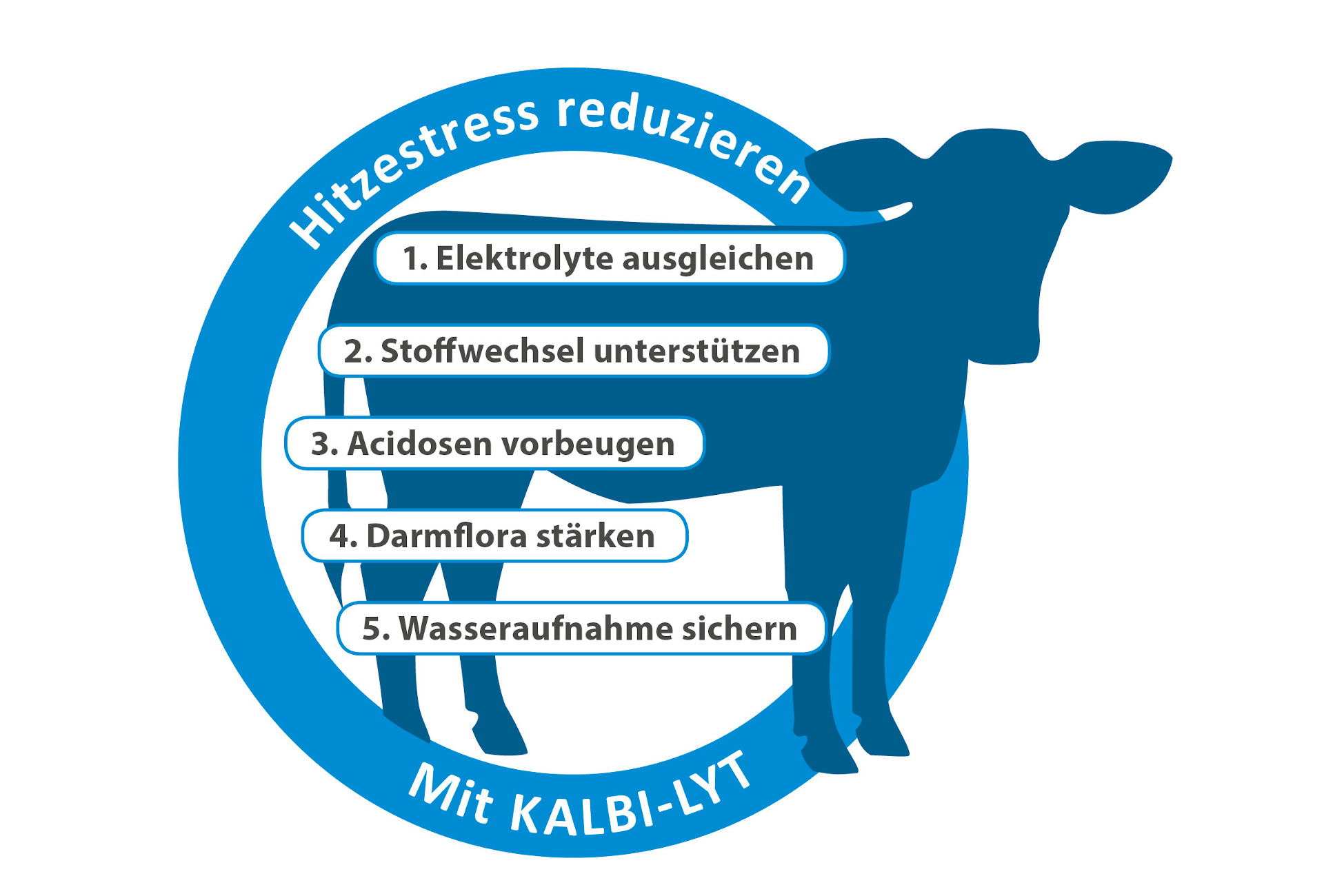KALBI-LYT gleicht Schweißverluste aus KALBI-LYT gleicht Schweißverluste aus