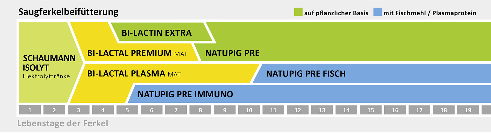 Saugferkelbeifütterung